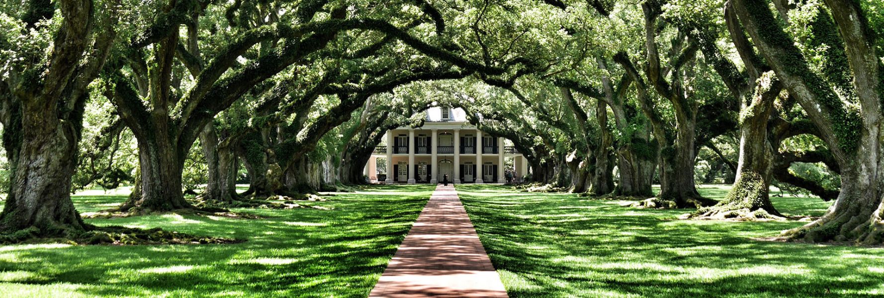 A large tree lined path leading to an old house.